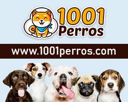 1001perros.com