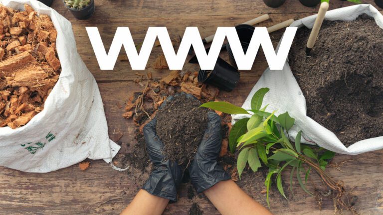 37 mejores sitios web y blogs de jardinería para convertirse en un experto en jardinería