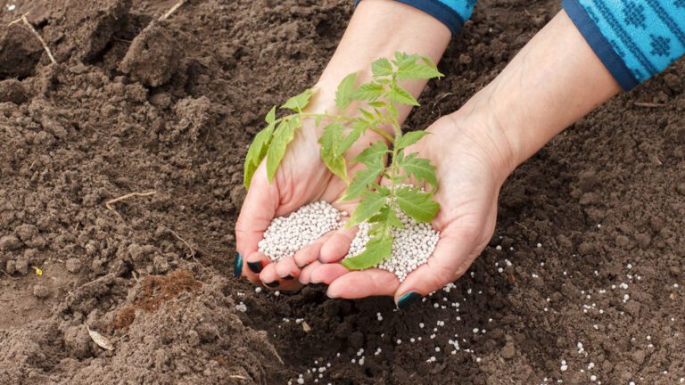 Tipos fertilizantes orgánicos: beneficios y usos en su jardín