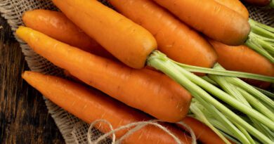 como plantar zanahorias