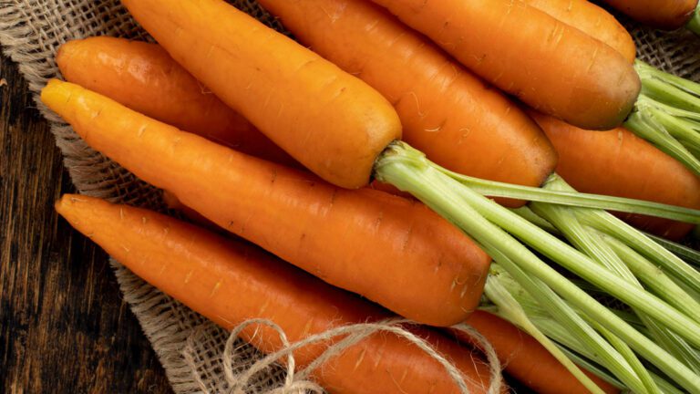 ¿Cómo cultivar y cuidar zanahorias?