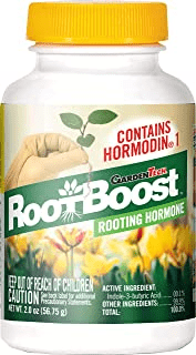 Polvo de hormona de enraizamiento RootBoost
