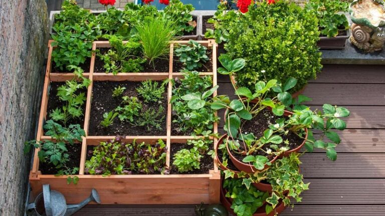 Cómo iniciar un jardín en el balcón: 9 consejos para el cultivador de espacios pequeños